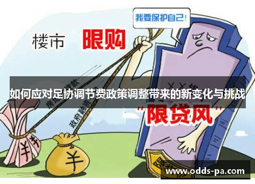 如何应对足协调节费政策调整带来的新变化与挑战