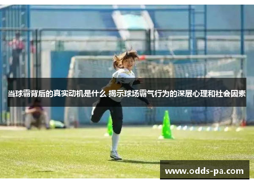 当球霸背后的真实动机是什么 揭示球场霸气行为的深层心理和社会因素