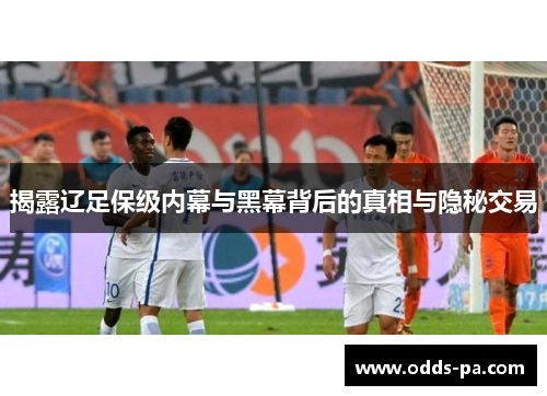 揭露辽足保级内幕与黑幕背后的真相与隐秘交易