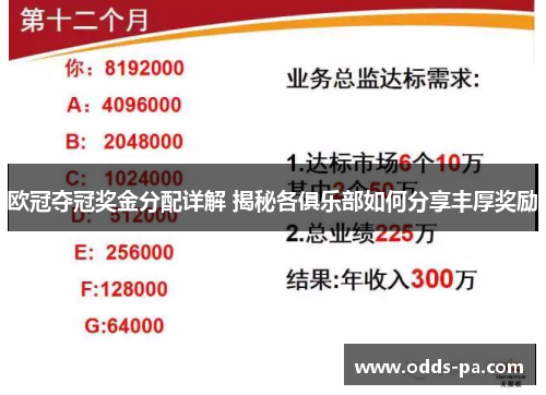 欧冠夺冠奖金分配详解 揭秘各俱乐部如何分享丰厚奖励