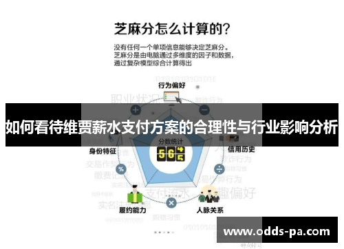 如何看待维贾薪水支付方案的合理性与行业影响分析