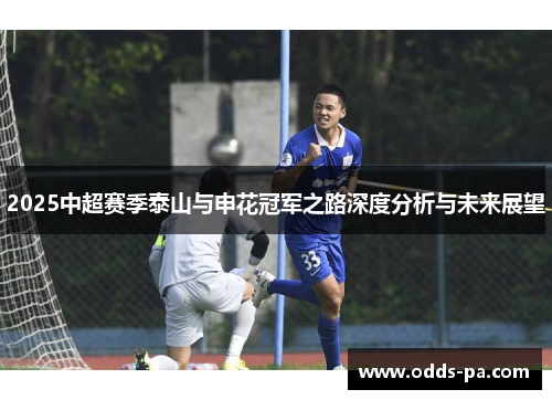 2025中超赛季泰山与申花冠军之路深度分析与未来展望