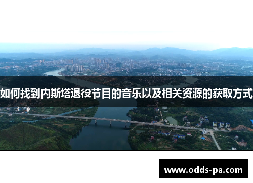 如何找到内斯塔退役节目的音乐以及相关资源的获取方式