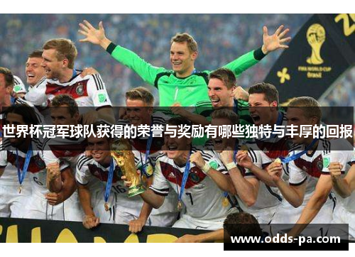 世界杯冠军球队获得的荣誉与奖励有哪些独特与丰厚的回报