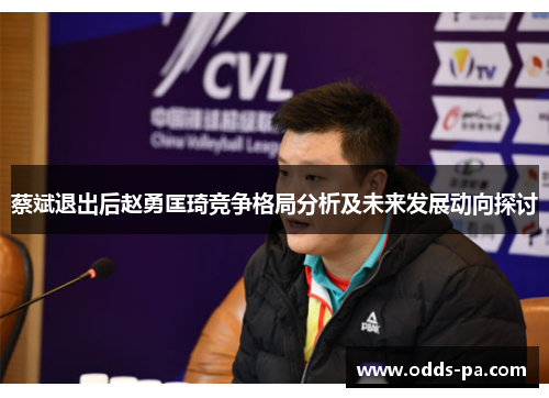 蔡斌退出后赵勇匡琦竞争格局分析及未来发展动向探讨