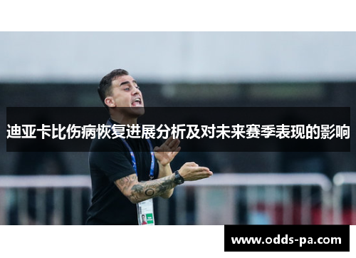 迪亚卡比伤病恢复进展分析及对未来赛季表现的影响