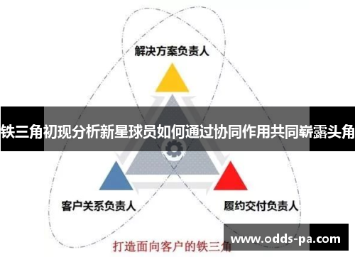 铁三角初现分析新星球员如何通过协同作用共同崭露头角