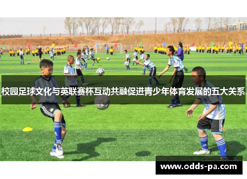 校园足球文化与英联赛杯互动共融促进青少年体育发展的五大关系