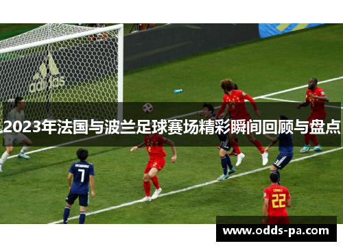 2023年法国与波兰足球赛场精彩瞬间回顾与盘点