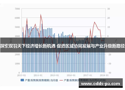 探索双羽天下经济增长新机遇 促进区域协同发展与产业升级新路径 探索双羽天下经济增长新机遇 促进区域协同发展与产业升级新路径