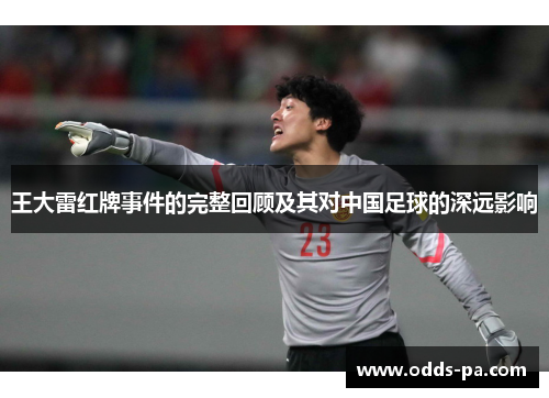 王大雷红牌事件的完整回顾及其对中国足球的深远影响