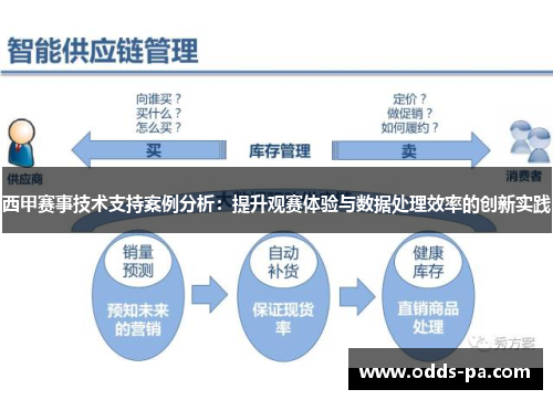西甲赛事技术支持案例分析：提升观赛体验与数据处理效率的创新实践